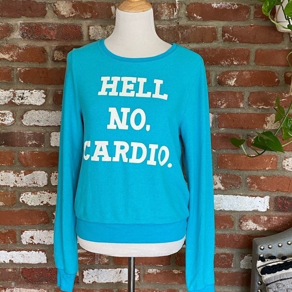 WILDFOX Aqua Blue and white graphic Hell No Cardio Pullover Sweater Size XS - Picture 2 of 7